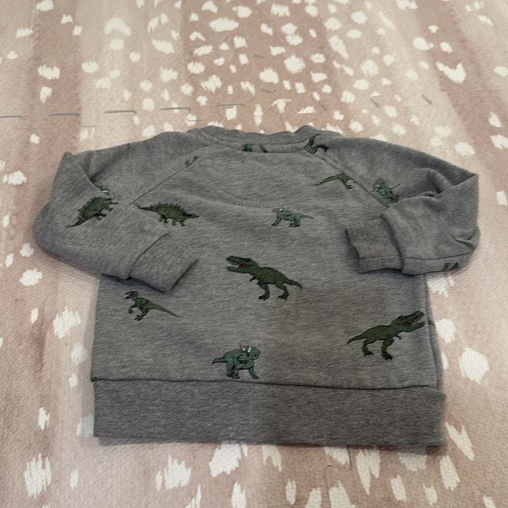 Sovereign Code Boys Dinosaur Sweatshirt Gray Size 18M - Picture 8 of 11